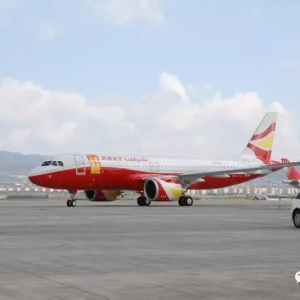 旅客投擲硬幣致航班取消 祥鵬航空：將依法起訴