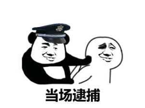 這也太剛了！為讓飛行模擬更真實，開發(fā)者購買戰(zhàn)斗機說明書遭逮捕