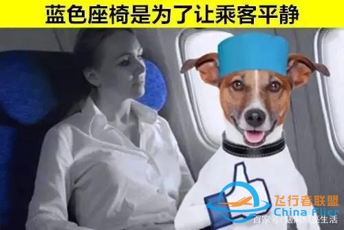 可能讓你無法了解到的 與飛機有關(guān)的9個有趣小知識-6387