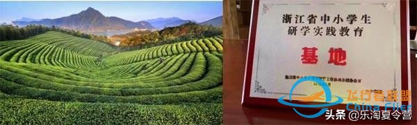 莫干山體驗(yàn)航空的驚險(xiǎn)，騎行的樂趣，自然的美妙，探險(xiǎn)的收獲-3878