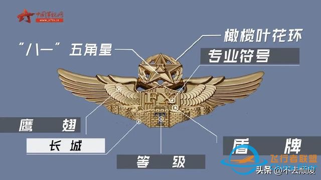科普飛行員胸前標(biāo)識的“玄機”？細(xì)節(jié)滿滿！知識滿滿-2020