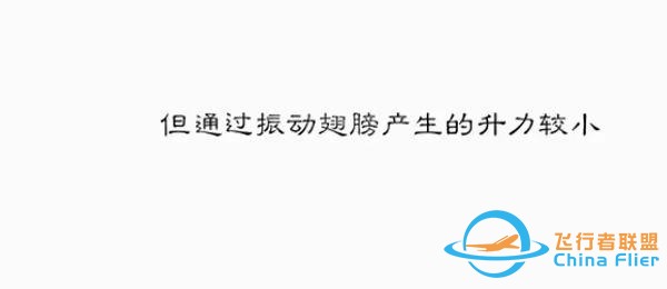 用漫畫講航空，那些年我們一起學(xué)習(xí)鳥類飛行的日子……-2260