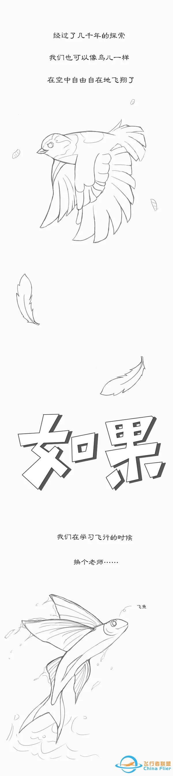 用漫畫講航空，那些年我們一起學(xué)習(xí)鳥類飛行的日子……-1164