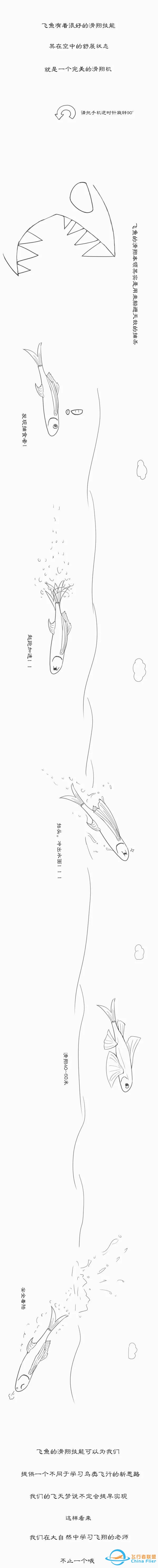 用漫畫講航空，那些年我們一起學(xué)習(xí)鳥類飛行的日子……-4066