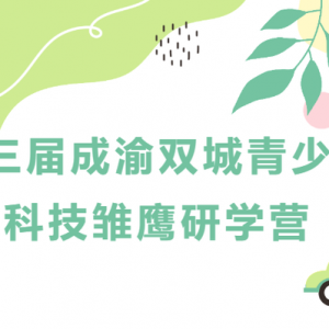迫降逃生、模擬飛行，科技雛鷹當(dāng)上小小機(jī)長(zhǎng)