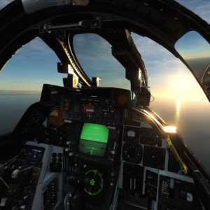 模擬飛行 DCS F-14B Tomcat雄貓戰(zhàn)斗機(jī) 中文指南 3.1總體結(jié)構(gòu)