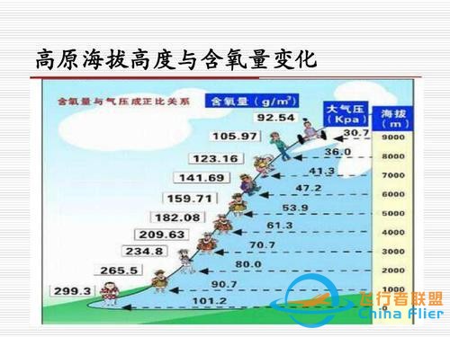 鳥類強大的飛行能力背后，做了哪些犧牲？一文了解飛行的秘密-228