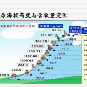 鳥(niǎo)類(lèi)強(qiáng)大的飛行能力背后，做了哪些犧牲？一文了解飛行的秘密