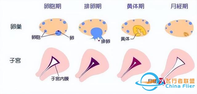 女航天員去太空時，為何要吃避孕藥？在飛船中到底會發(fā)生什么？-8781