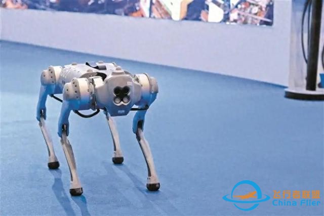 快看！這些高交會(huì)“顯眼包”！-5581
