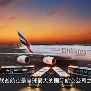 全球最大的國(guó)際航空公司之一——阿聯(lián)酋航空