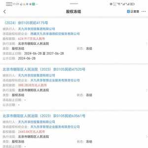 天九共享控股集團(tuán)關(guān)聯(lián)子公司西藏天九共享通用航空服務(wù)有限公司經(jīng)營異常，部分股權(quán)被法院凍結(jié)