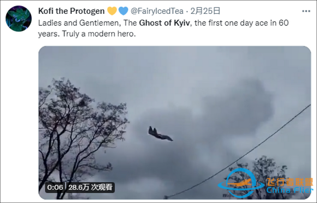 外網(wǎng)盛贊“基輔幽靈”擊落俄戰(zhàn)機，結(jié)果一看是游戲畫面-603