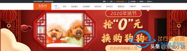 國內(nèi)外較著名的寵物網(wǎng)站大全-5830