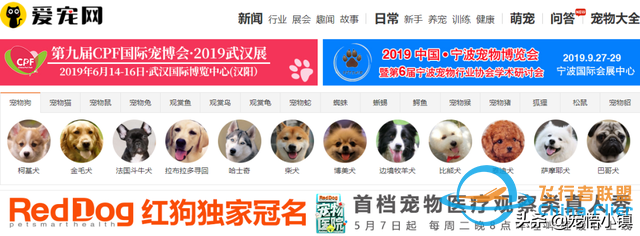 國內(nèi)外較著名的寵物網(wǎng)站大全-6922