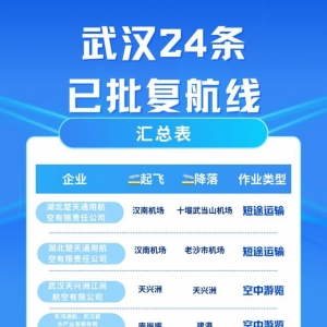 打飛的、空中觀光、送快遞……武漢批復(fù)24條低空經(jīng)濟(jì)航線！
